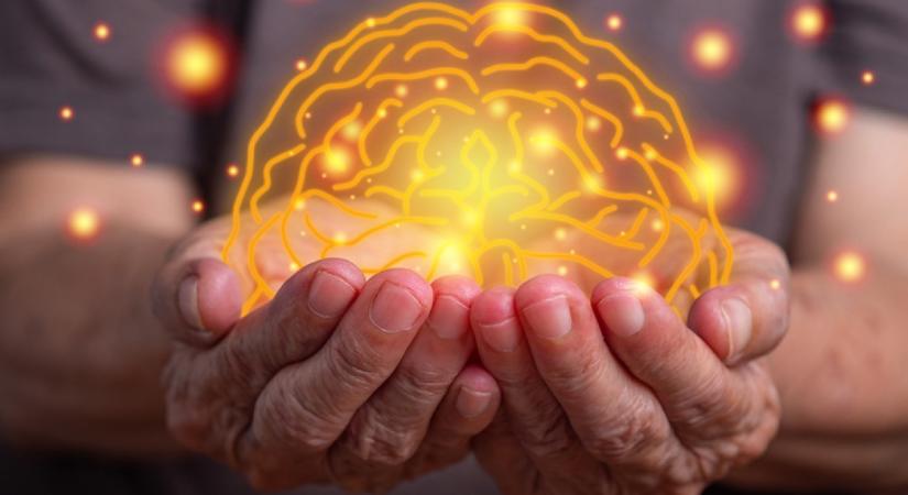 Ez a hétköznapi zöldség segíthet megelőzni az Alzheimer-kórt: megóvja az agyat a szellemi leépüléstől