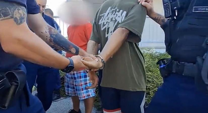 Konvojban jöttek a rendőrök, a kábósok csak pilláztak! Most annyi a drogtanyáknak az M3-asnál – videóval