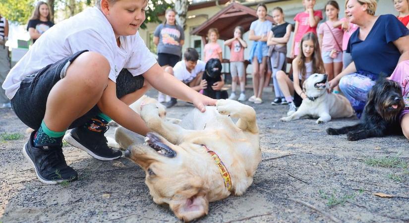 Ha van kutyád, ezt a határidőt el ne felejtsd