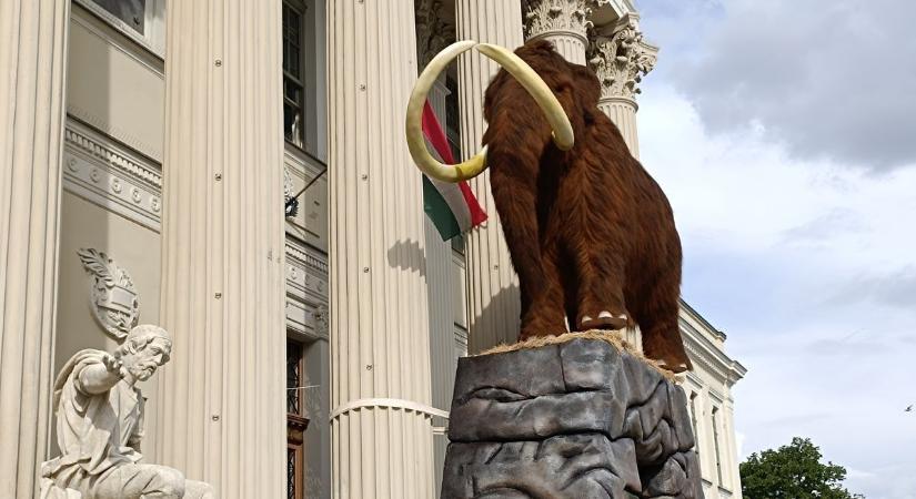Szeptemberben meglepetéssel várják a Jégkorszak-kiállításra látogatókat a Móra Múzeumban