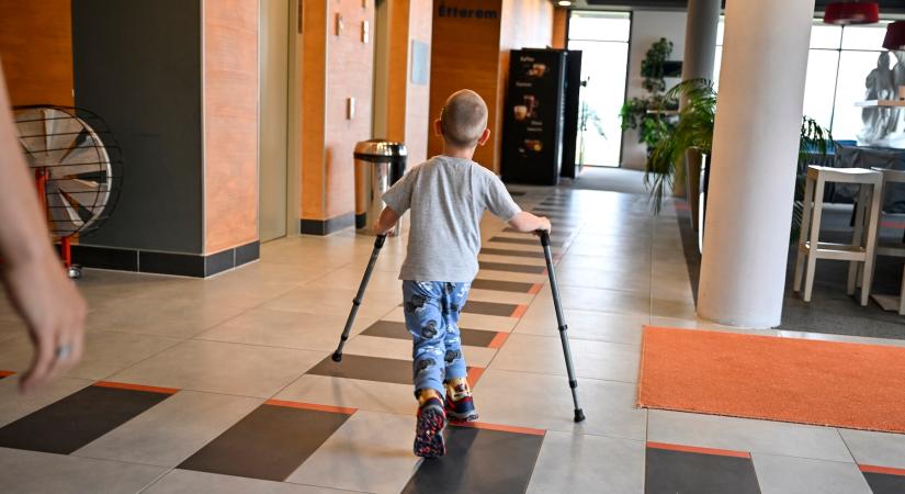 Jótékonysági borárverés is kapcsolódik a Budapest Borfesztiválhoz
