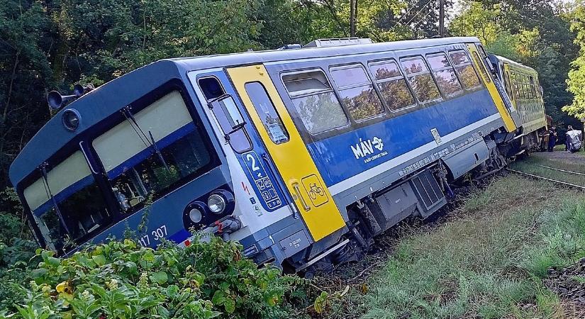 Fékezés közben siklott ki a vonat, érdekes videó jelent meg Magyar Péter oldalán