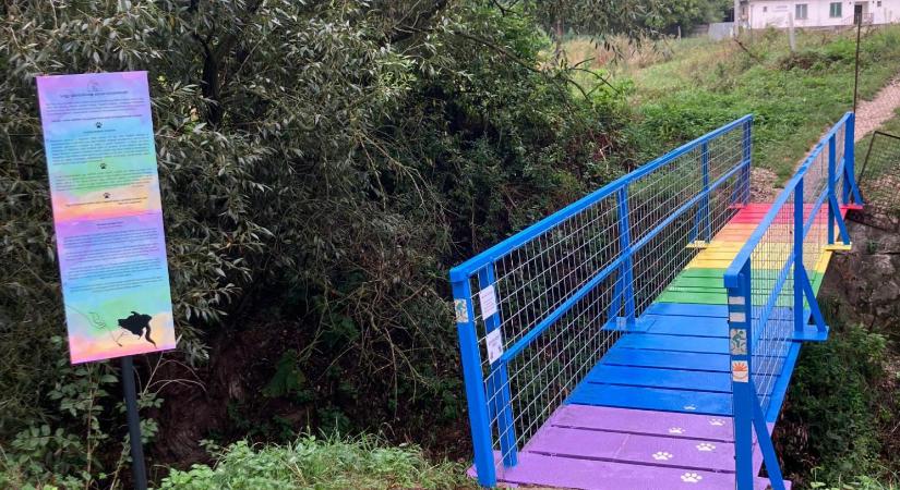 Az állatokat is nehéz elengedni, de több lehetőség is rendelkezésre áll a méltó búcsúra