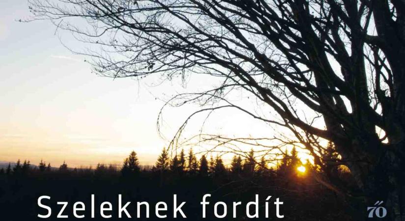 Hétköznapi tárgyak és versek, melyek többet árulnak el rólunk, mint gondolnánk