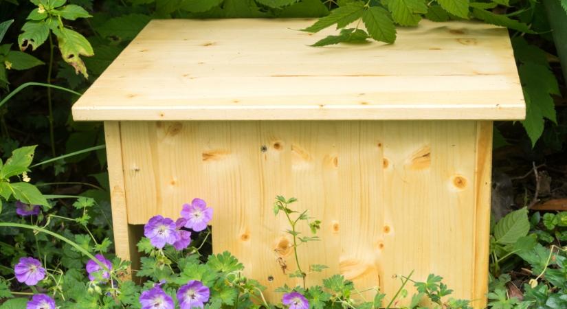 Eljött a sünik ideje: építs nekik bájos kuckót a kertbe, íme 3 ötlet!