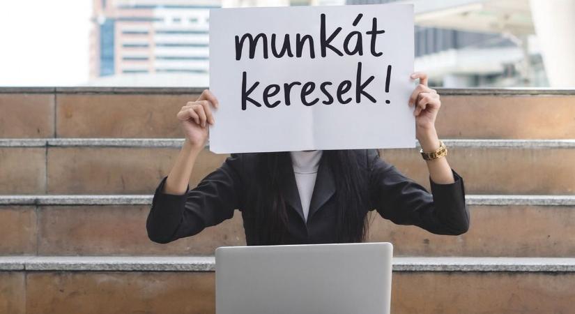 Furcsa állások: lennél te fürtvezető mérnök, de azt sem tudod mi fán terem? - Mutatjuk!