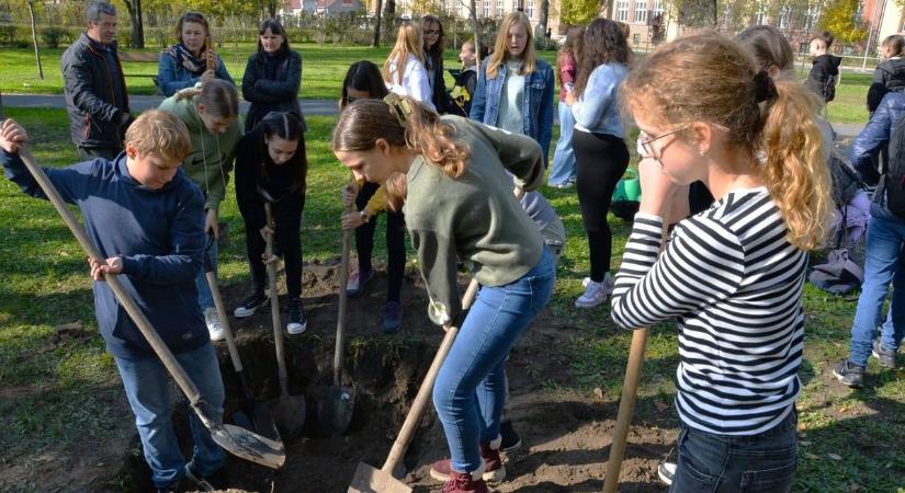 Kecskeméti szakértők figyelmeztetnek: így pusztítjuk el a kertünket a gyomok kiirtásával – videó