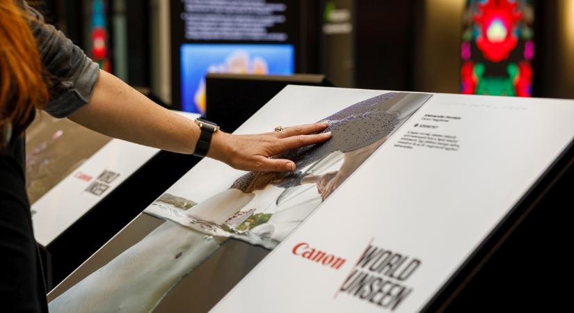 A fotókiállítás, amit nem csak látni kell – World Unseen a BEM Centerben
