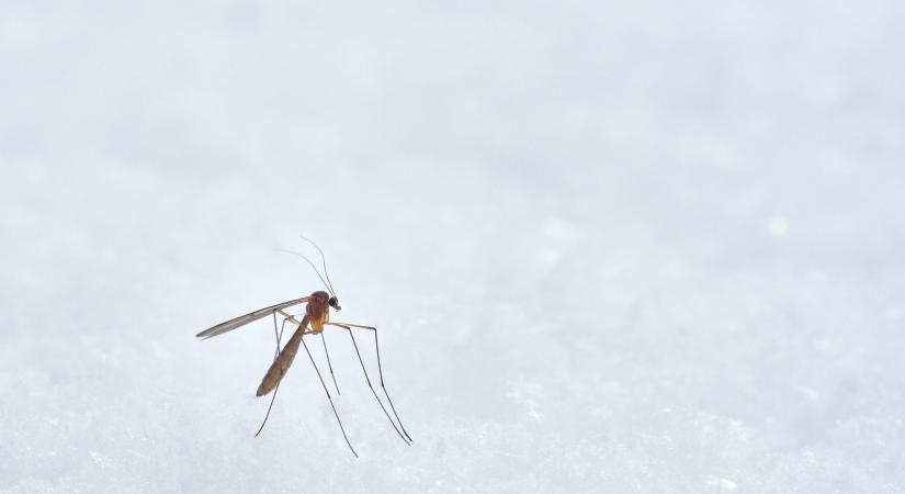 Félelmetes fertőzés, Magyarországon már 7 beteget azonosítottak, új gócpont alakult ki