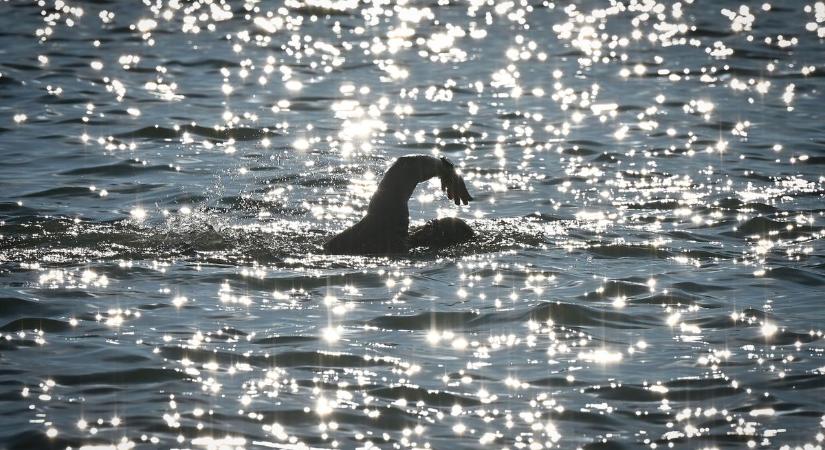 Nyáron naponta 850 kiló kémiai UV-szűrő hatóanyag jut a Balatonba