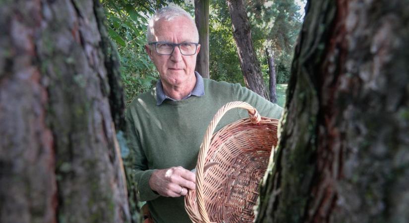 Nagyon sokan vártak erre a hírre: lassan, de biztosan itt a gombaszezon