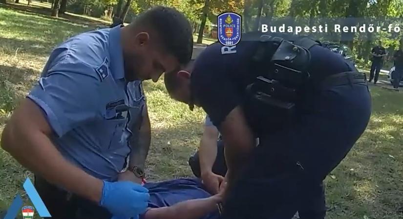 Bedrogozva csattant neki a drogdíler a rendőrautónak a Népligetnél