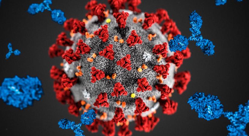 Már legalább hatvan országában jelen van a brit koronavírus-vírusmutáció