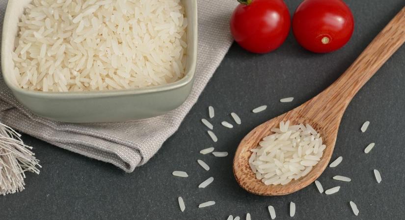 Veszélyben az európai rizs? Magyarország lépéseket sürget