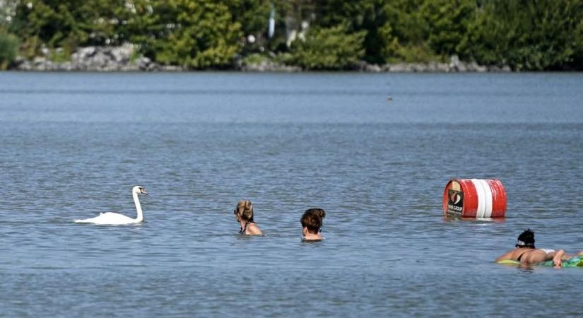 A Balatonba borzalmas mennyiségű vegyszer kerül naponta, nem is gondolnák a fürdőzők
