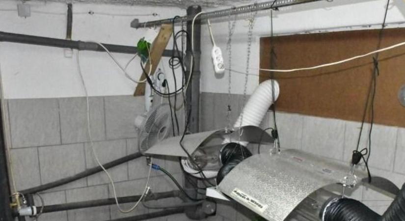 Amit a rendőrök találtak egy miskolci lakásban, arra senki sem számított!
