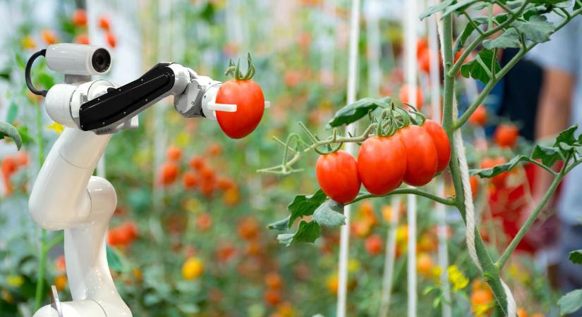Vetéstől a vertikális farmig – így alakítja át a technológia az agráriumot