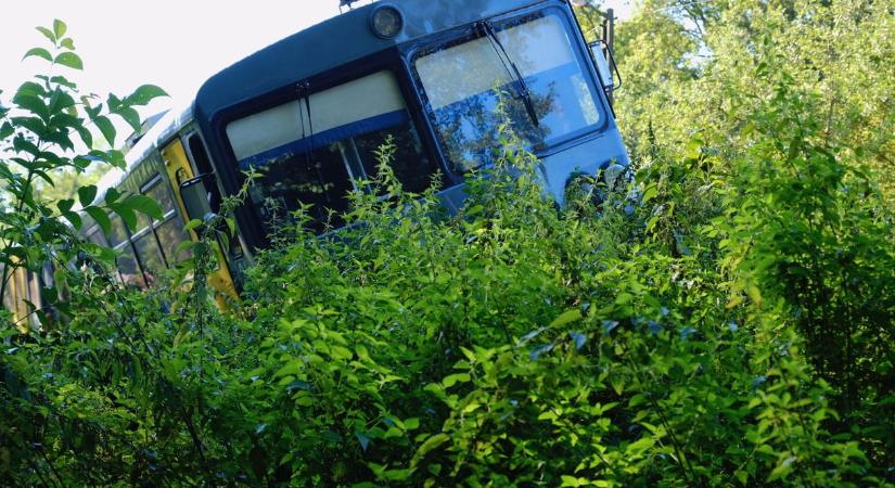 Vitatja a MÁV a szakértői jelentést, a vasúttársaság szerint biztosított az alkatrészellátás