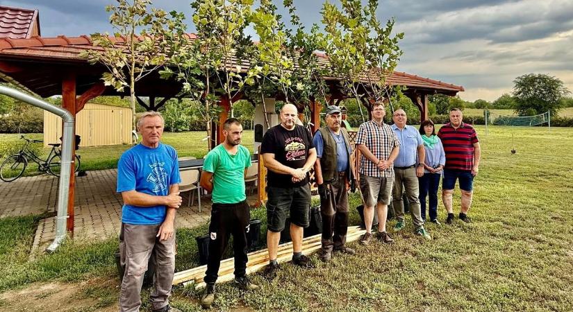 Tovább fásítják Tiszaszentimrét