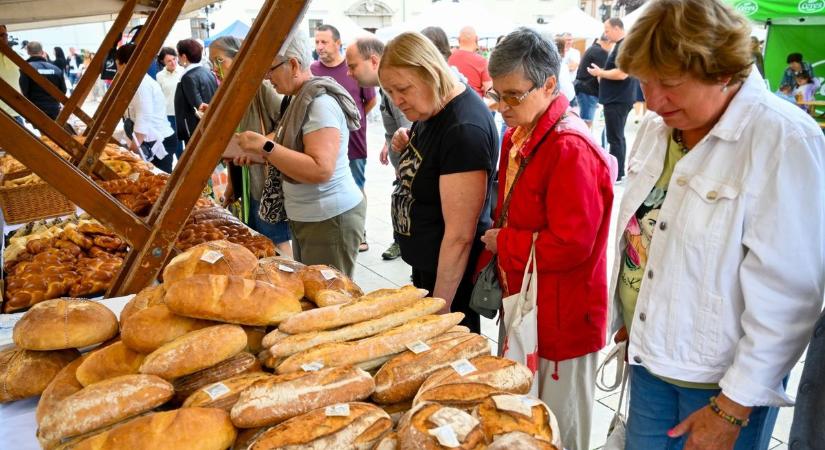 Kékfestő mester, szalmafonó néni és kíváncsi gyerekek: fotókon mutatjuk milyen volt a győri Kenyérfesztivál