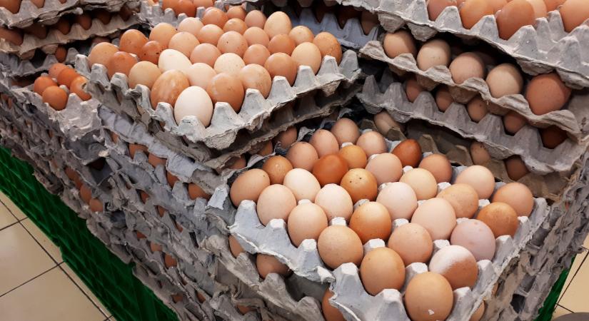 Tiltott antibiotikumot találtak az ukrán tojásban, mi történik itt?