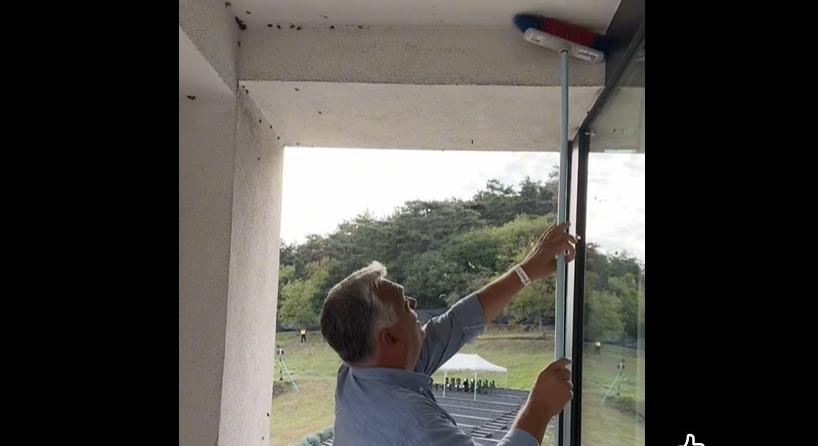 Orbán Viktor személyesen irtja a poloskákat  videó