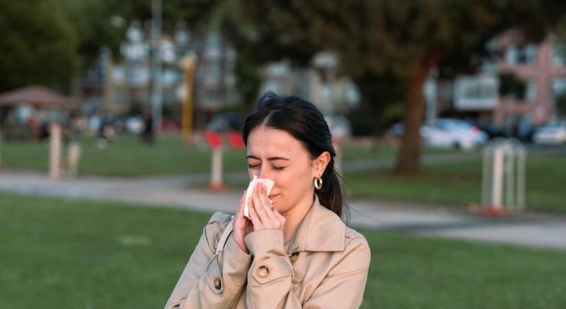 Erre számítsanak ma az allergiások – Magas a pollentartalom!