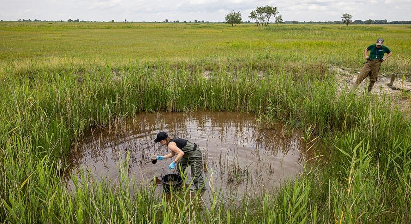 Feltöltik a talajvízrétegeket, fellendítik az agroturizmust