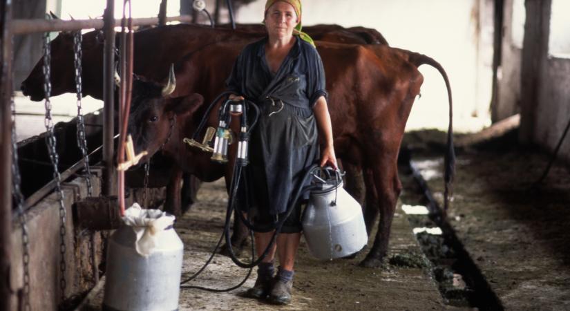 Előre megfontolt szándékkal elkövetett zajártalom