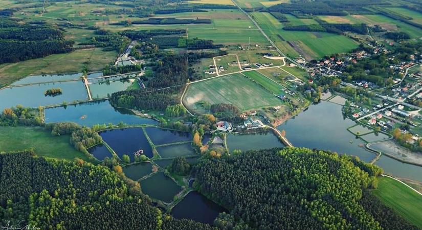 A több lábon állás nem üres szöveg