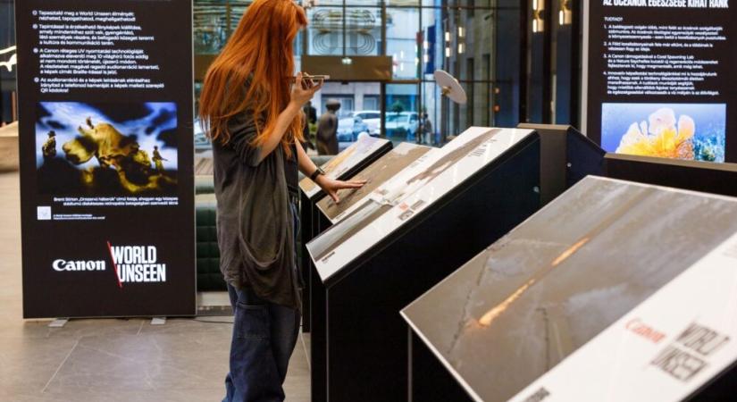 Multiszenzorális fotókiállítás: nézegetheted, tapogathatod, meghallgathatod!