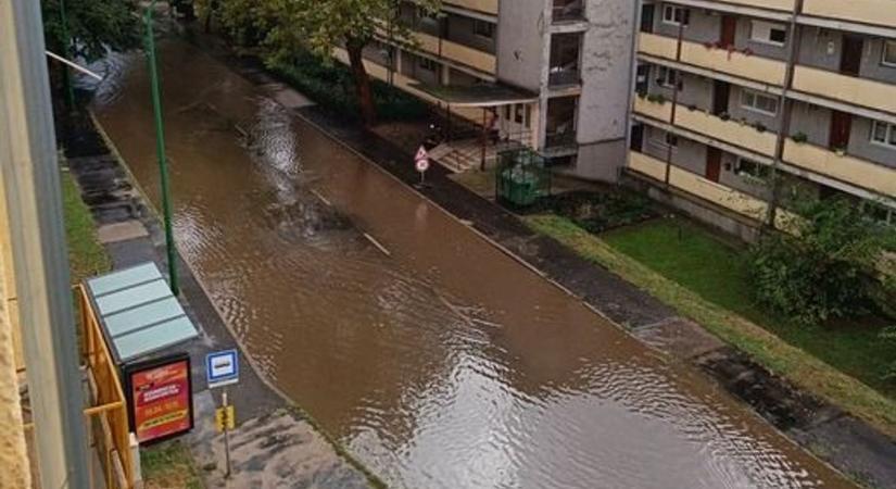 Árad a Duna  már csónakkal is járhatnánk az utakon