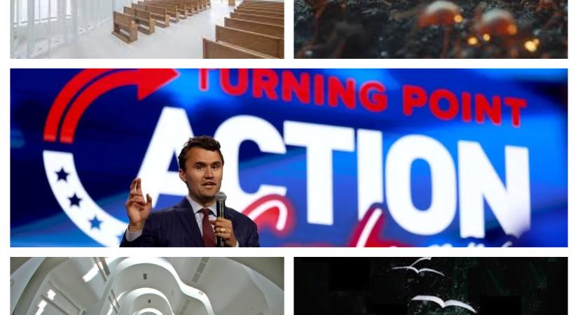 Digitális hangyaboly vagy az Istenképűek boldog szigete