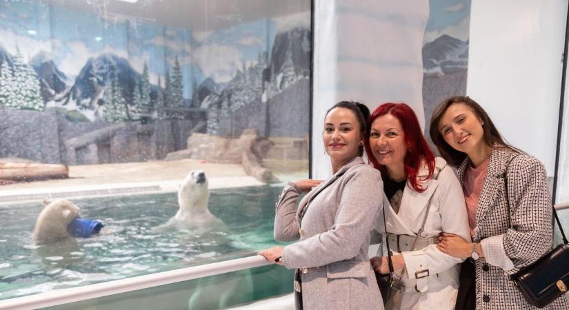 Nyíregyháza ismét a TOP10-ben: a turisták imádják a várost!
