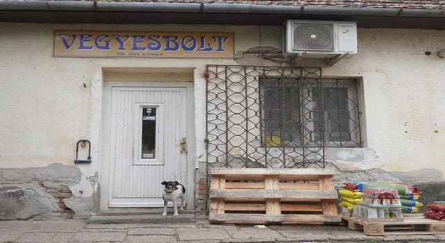 KITEKINTŐ – A független vidéki sajtó heti lapszemléje
