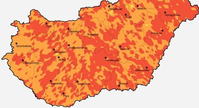 Parlagfű pollenszezon: túl a tetőzésen, de továbbra is erős a terhelés