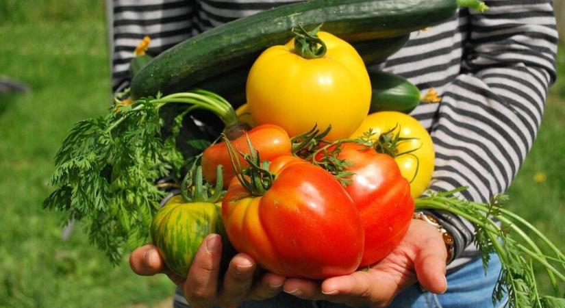 Allergiás kertészkedik – allergiás tünetek és keresztallergia