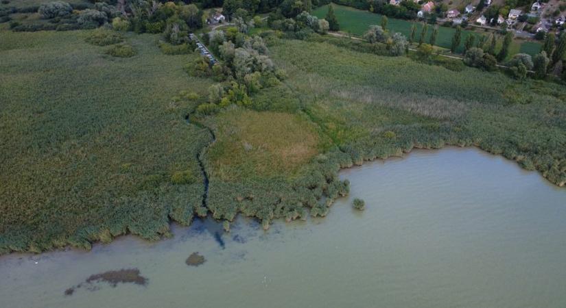 Védett balatoni öbölben kotornának egy horgászparadicsom miatt