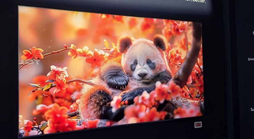 Az egész világot lenyomta a kínai cég a Mini LED tv piacon