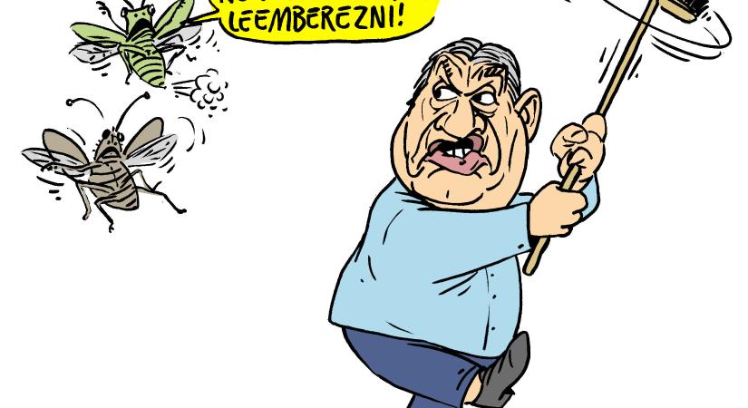 Mindenki sorra kerül