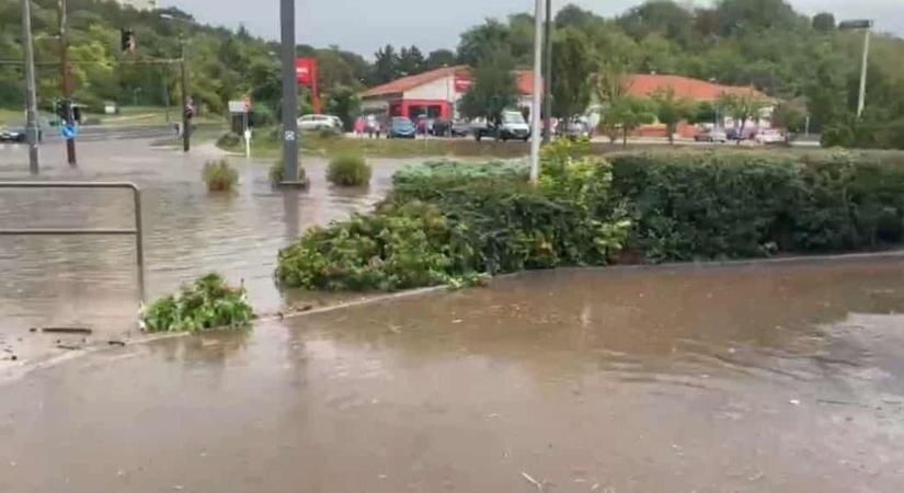 Könyvektől az özönvízig: így telt a hetünk