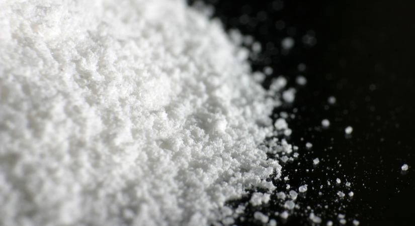 Dániába induló drogszállítmányt fogtak el Panamában