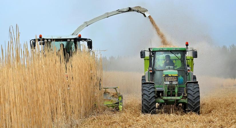 Biomasszával a fenntarthatóságért – sokszínű konferenciával vár az OMÉK