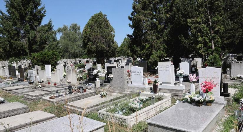 Ettől rettegnek a pécsi sírkövesek a temetőben