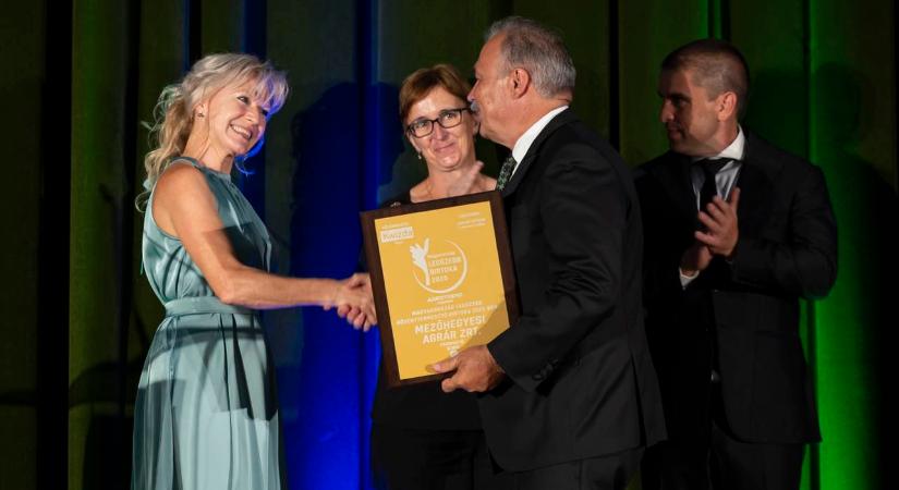 Egyszerre produktív és inspiráló, ahová jó érzés bemenni…
