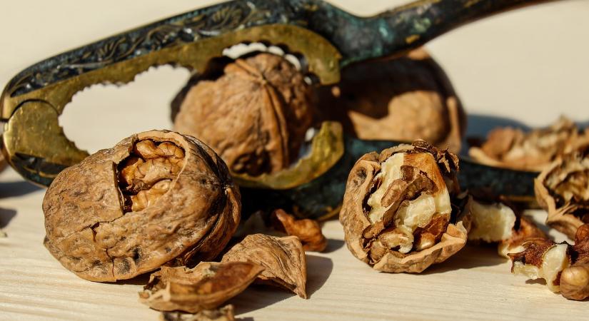 Vereben várja dió szakmai napra a NAK a gazdálkodókat