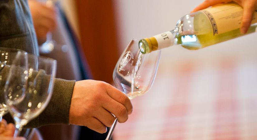 A problémás turisták miatt korlátoznák az alkohol értékesítését a horvátországi üdülőhelyeken