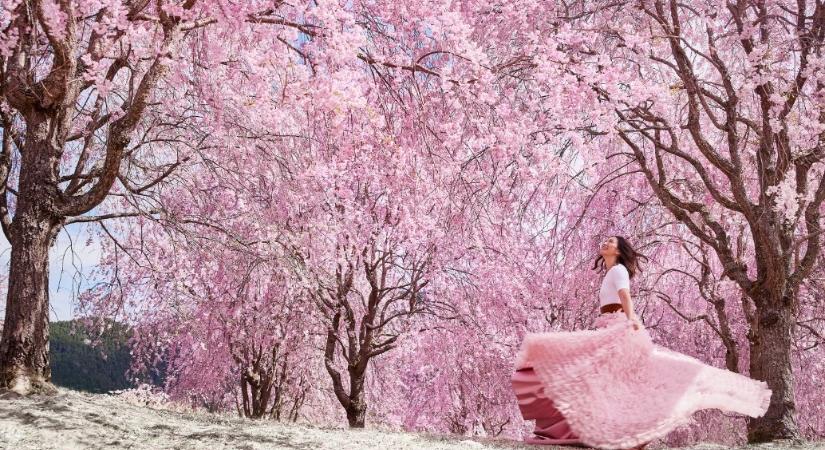 A Rituals végre Magyarországon – az ikonikus Sakura kollekcióval érkezik a Mammutba