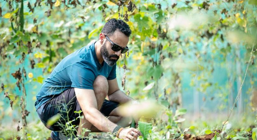 Természetes biostimulátorokkal készítsd fel a kertet télre