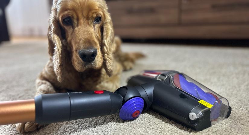 Egy porszívó mind felett - kipróbáltuk a Dyson csúcsmodelljét